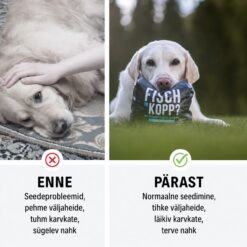 Tales & Tails pehme koeratoit - kuivtoit kalaga | Sniffy - Parima sõbra heaks Tales & Tails pehme koeratoit - kuivtoit kalaga | Sniffy - Parima sõbra heaks