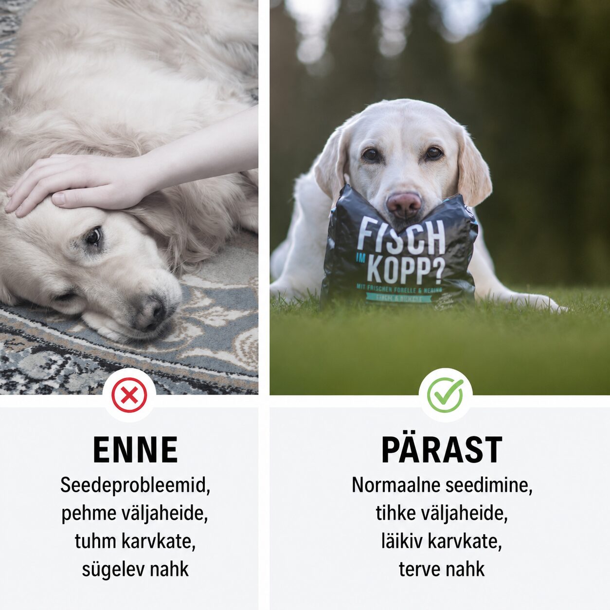 Tales & Tails pehme koeratoit - kuivtoit kalaga | Sniffy - Parima sõbra heaks Tales & Tails pehme koeratoit - kuivtoit kalaga - Image 4