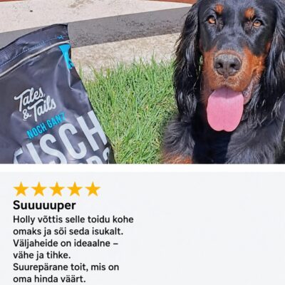 Koer ei talu kana - kuidas valida kanavaba koeratoitu? | Sniffy - Parima sõbra heaks Koer ei talu kana - kuidas valida kanavaba koeratoitu? | Sniffy - Parima sõbra heaks