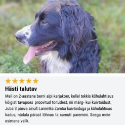 Tales & Tails monoproteiin koeratoit - pehme kuivtoit lambalihaga | Sniffy - Parima sõbra heaks