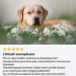 Tales & Tails monoproteiin koeratoit - pehme kuivtoit lambalihaga | Sniffy - Parima sõbra heaks