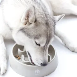 Inooko slow feeder circular food bowl | Sniffy - Parima sõbra heaks