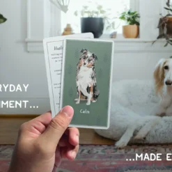 Calm Dog Mind Game Cards for Dogs | Sniffy - Parima sõbra heaks Calm Dog Mind Game Cards for Dogs | Sniffy - Parima sõbra heaks