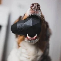 Tales & Tails Food-Fillable Toy Schlecker Ei | Sniffy - Parima sõbra heaks