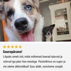 Tales & Tails Monoprotein Dog Food - Soft Dry Food with Duck Meat | Sniffy - Parima sõbra heaks Tales & Tails Monoprotein Dog Food - Soft Dry Food with Duck Meat | Sniffy - Parima sõbra heaks