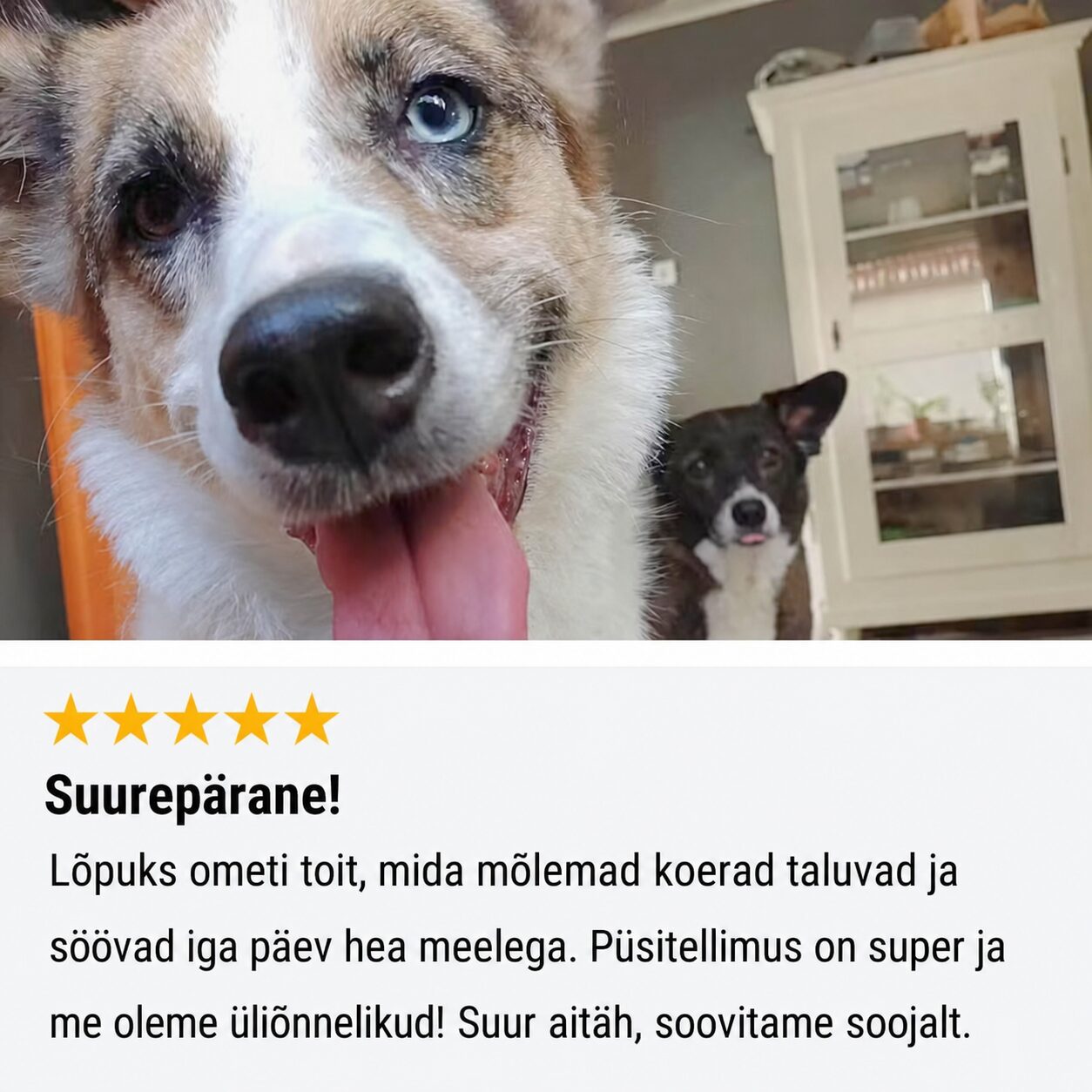 Tales & Tails Monoprotein Dog Food - Soft Dry Food with Duck Meat | Sniffy - Parima sõbra heaks Tales & Tails Monoprotein Dog Food - Soft Dry Food with Duck Meat - Image 6
