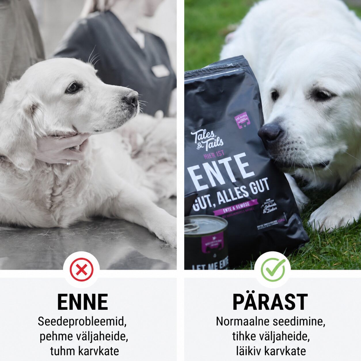 Tales & Tails Monoprotein Dog Food - Soft Dry Food with Duck Meat | Sniffy - Parima sõbra heaks Tales & Tails Monoprotein Dog Food - Soft Dry Food with Duck Meat - Image 4
