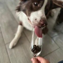 Tales & Tails Monoprotein Dog Food - Soft Dry Food From Insects | Sniffy - Parima sõbra heaks