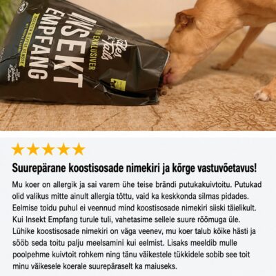 Koer ei talu kana - kuidas valida kanavaba koeratoitu? | Sniffy - Parima sõbra heaks Koer ei talu kana - kuidas valida kanavaba koeratoitu? | Sniffy - Parima sõbra heaks