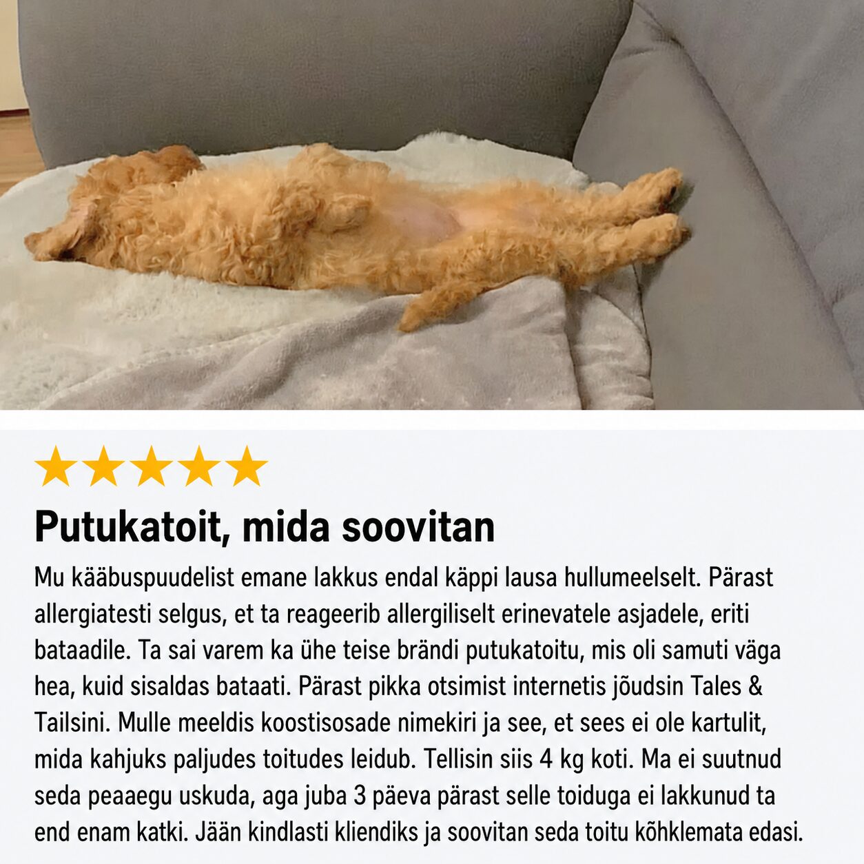 Tales & Tails Monoprotein Dog Food - Soft Dry Food From Insects | Sniffy - Parima sõbra heaks Tales & Tails Monoprotein Dog Food - Soft Dry Food From Insects - Image 6