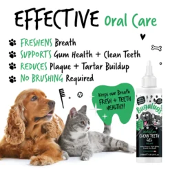Bugalugs Peppermint Dental Cleaning Gel for Dogs and Cats | Sniffy - Parima sõbra heaks