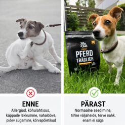 Tales & Tails Monoprotein Dog Food - Soft Dry Food with Horse Meat | Sniffy - Parima sõbra heaks