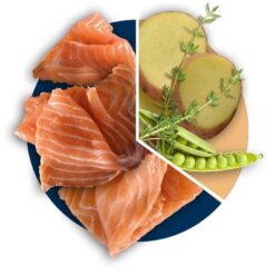 teraviljavaba koeratoit, lõhega koeratoit, kalkuniga koeratoit, premium koeratoit, polaris koeratoit, täiskasvanud koera toit, tundliku seedimisega koerale, omega 3 koeratoit