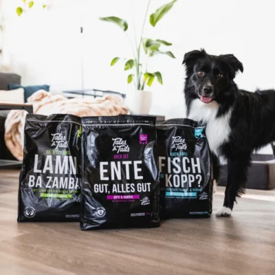 Kuidas valida oma koerale õige toit? | Sniffy - Parima sõbra heaks