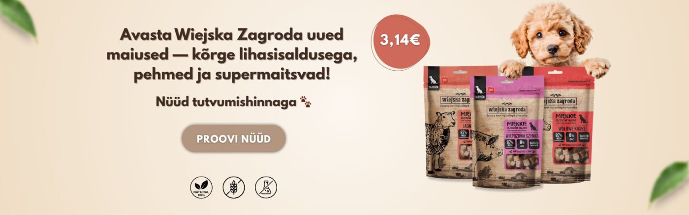 Avaleht | Sniffy - Parima sõbra heaks