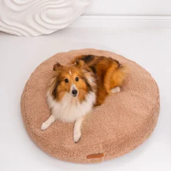 Rexproduct Coco Teddy ümmargune koera- ja kassivoodi (tumebeež) | Sniffy - Parima sõbra heaks