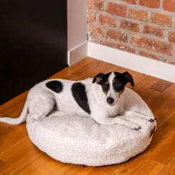 Rexproduct Coco Teddy ümmargune koera- ja kassivoodi (kreemikas) | Sniffy - Parima sõbra heaks