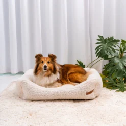 Rexproduct Frida Teddy ümmargune koera- ja kassivoodi (kreemikas) | Sniffy - Parima sõbra heaks