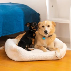 Rexproduct Frida Teddy ümmargune koera- ja kassivoodi (kreemikas) | Sniffy - Parima sõbra heaks