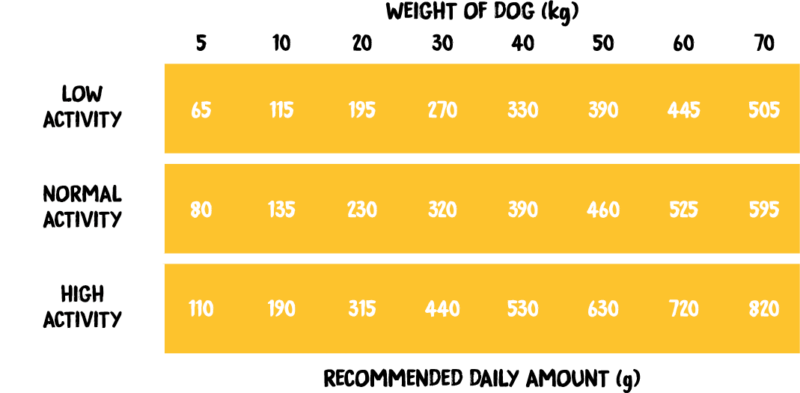 Country of Animals Kalkuni ja Lambalihaga – kuivtoit koertele (Turkey with Lamb)