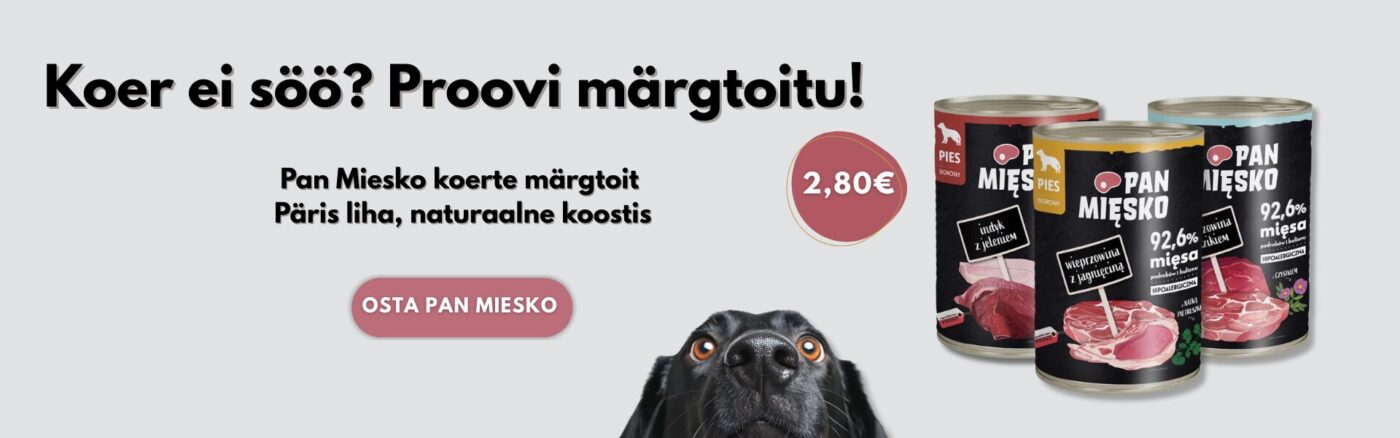 Avaleht | Sniffy - Parima sõbra heaks