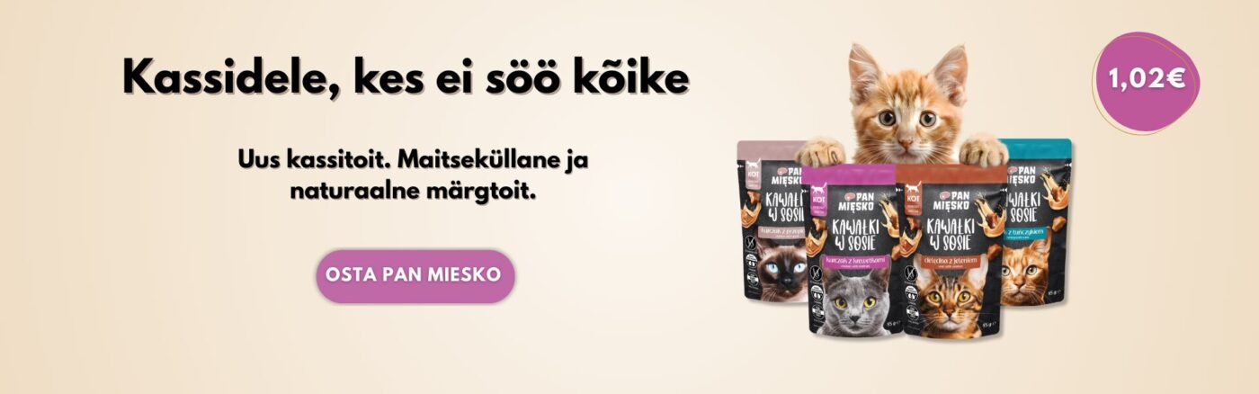 Avaleht | Sniffy - Parima sõbra heaks