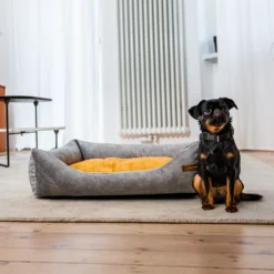 Rexproduct Frida koeravoodi – helehall + valitav madrats | Sniffy - Parima sõbra heaks