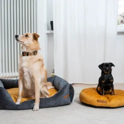 Rexproduct Frida koeravoodi – grafiit + valitav madrats | Sniffy - Parima sõbra heaks