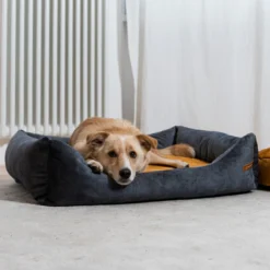 Rexproduct Frida koeravoodi – grafiit + valitav madrats | Sniffy - Parima sõbra heaks