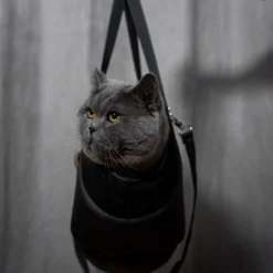 Rexproduct Sako transpordikott koerale või kassile (pruun) | Sniffy - Parima sõbra heaks