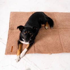 Rexproduct Mia Teddy reisimatt koertele | Sniffy - Parima sõbra heaks