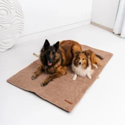 Rexproduct Mia Teddy reisimatt koertele | Sniffy - Parima sõbra heaks