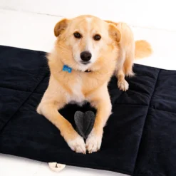 Rexproduct Mia must reisimatt koertele