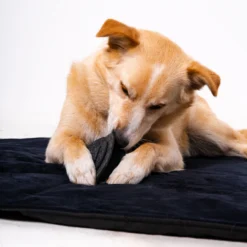 lamamismatt koerale, rexproduct