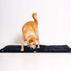 rexproduct reisimatt, koera lamamismatt, reisivoodi koerale