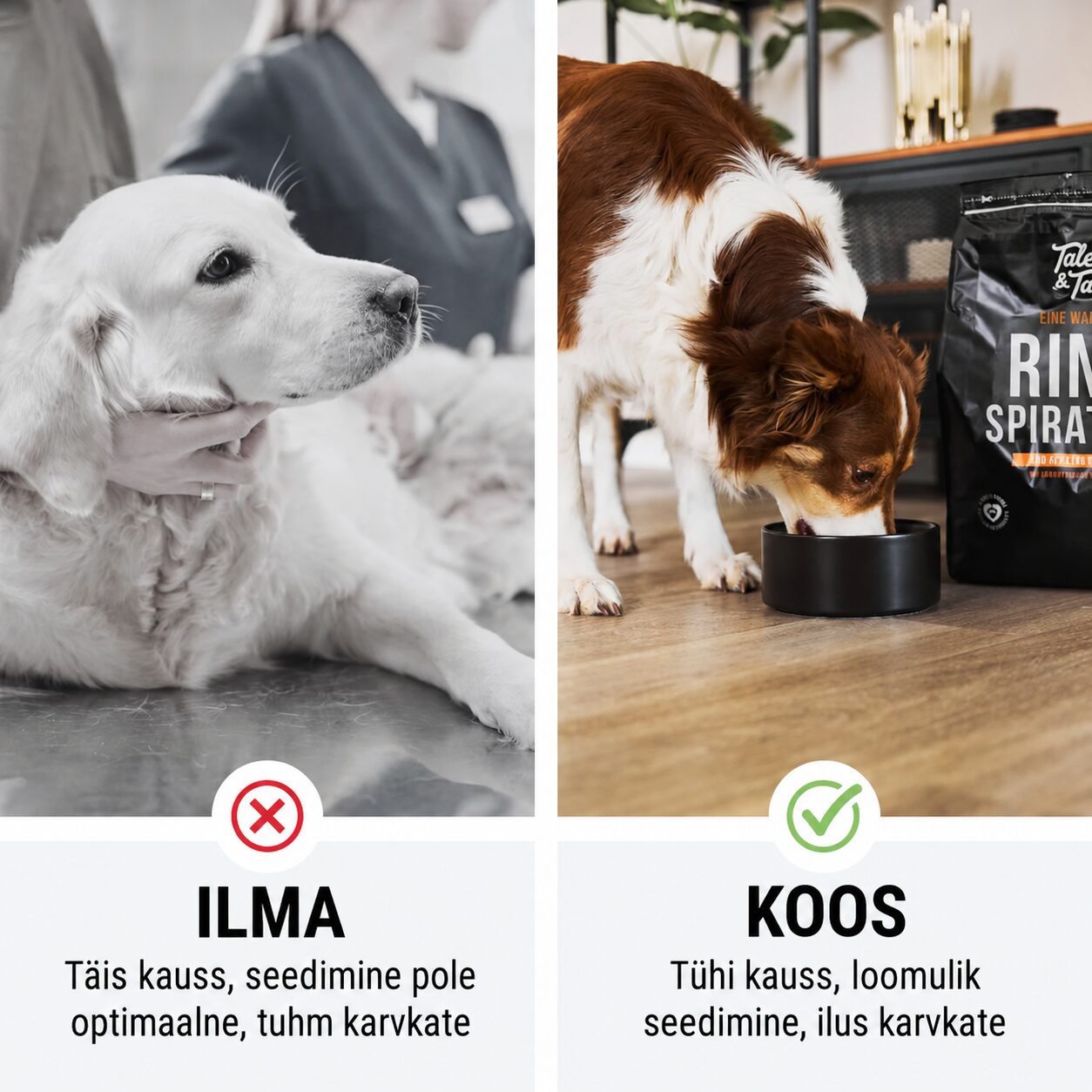 Tales & Tails monoproteiin koeratoit - pehme kuivtoit veiselihaga | Sniffy - Parima sõbra heaks Tales & Tails monoproteiin koeratoit - pehme kuivtoit veiselihaga - Image 4