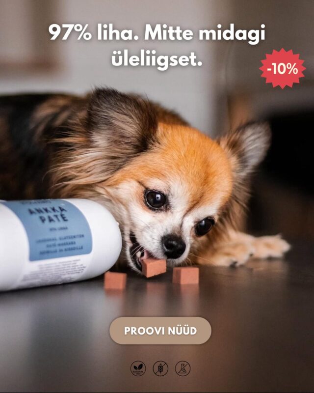 Avaleht | Sniffy - Parima sõbra heaks Avaleht | Sniffy - Parima sõbra heaks