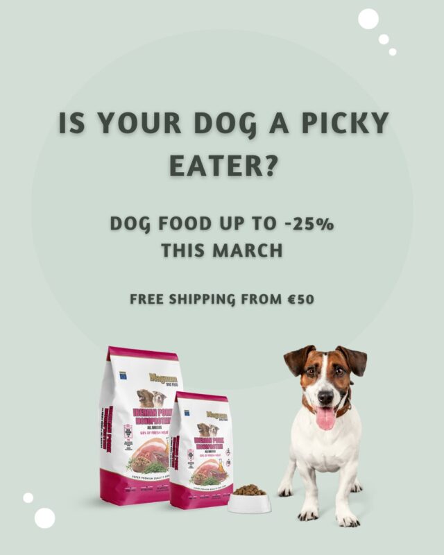 Home page | Sniffy - Parima sõbra heaks Home page | Sniffy - Parima sõbra heaks