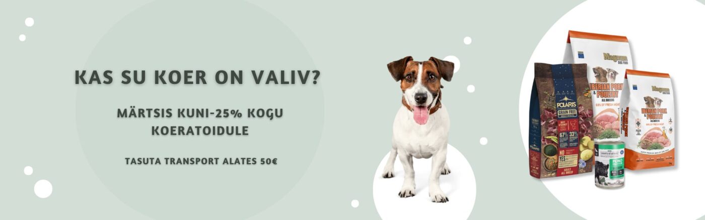 Avaleht | Sniffy - Parima sõbra heaks Avaleht | Sniffy - Parima sõbra heaks