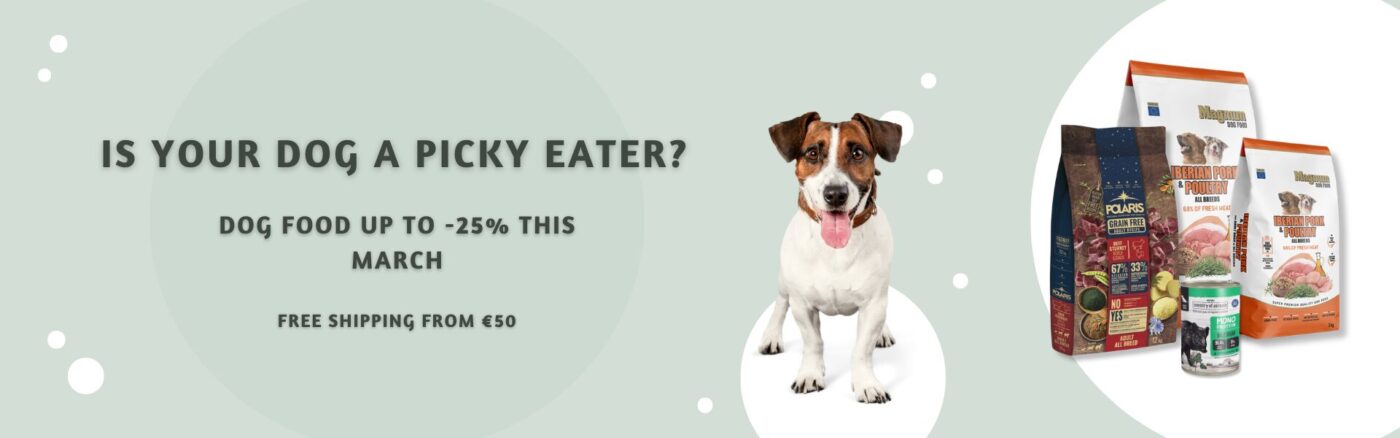 Home page | Sniffy - Parima sõbra heaks Home page | Sniffy - Parima sõbra heaks