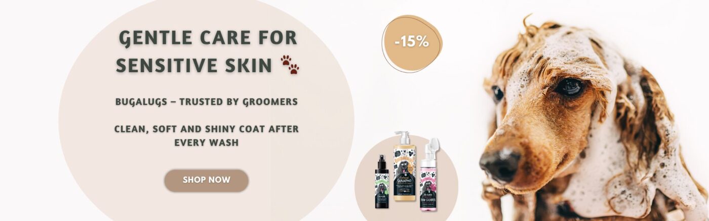 Home page | Sniffy - Parima sõbra heaks