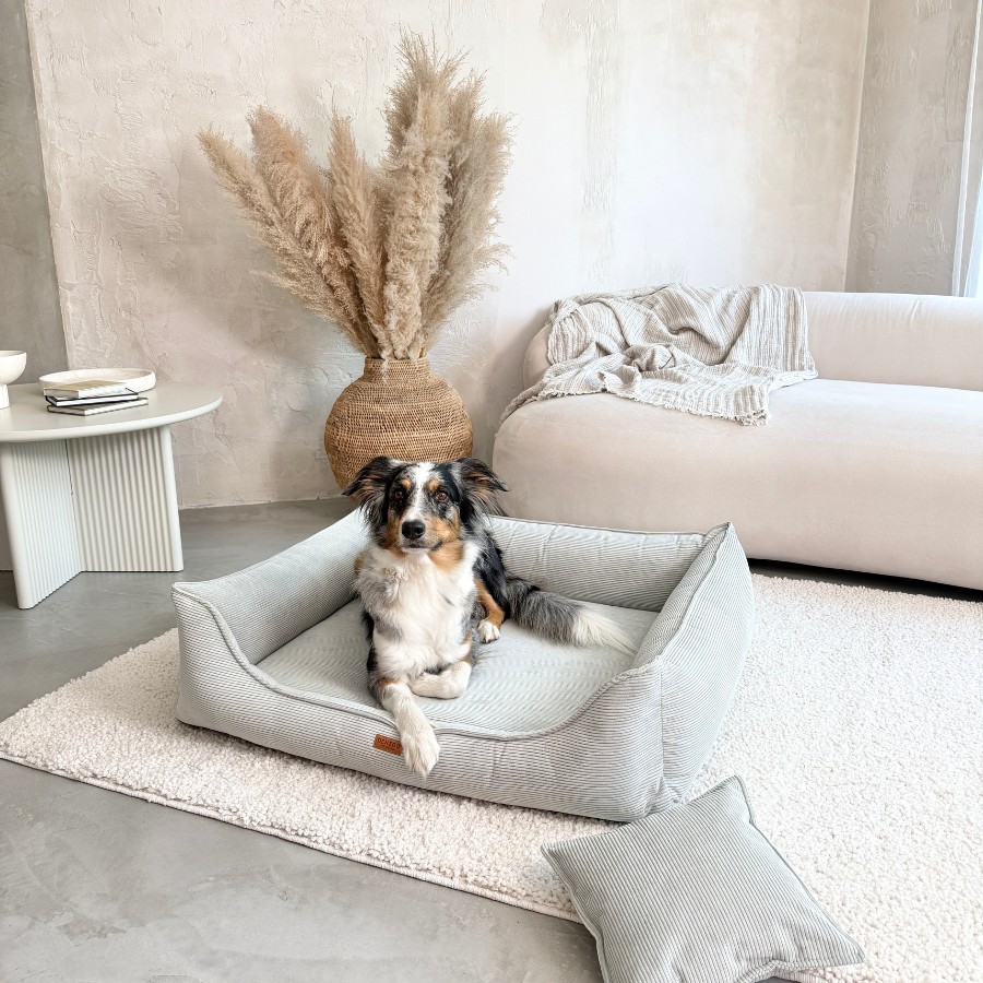 Denzoo Torino ortopeediline koeravoodi | Sniffy - Parima sõbra heaks Denzoo Torino ortopeediline koeravoodi