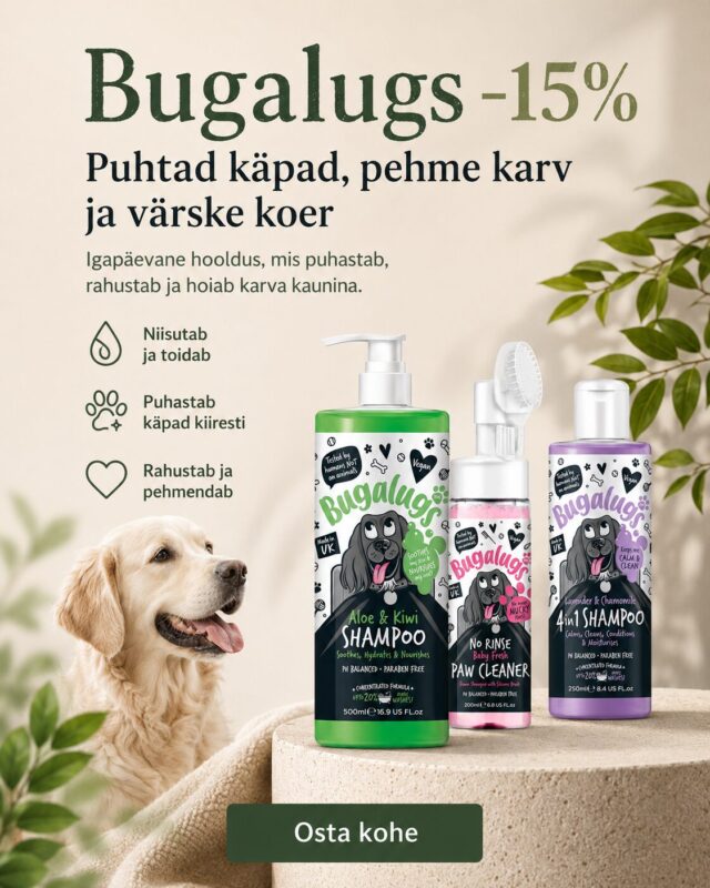 Avaleht | Sniffy - Parima sõbra heaks