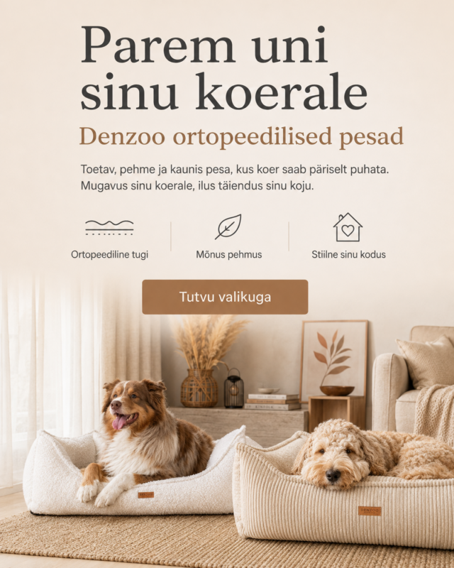 Avaleht | Sniffy - Parima sõbra heaks Avaleht | Sniffy - Parima sõbra heaks