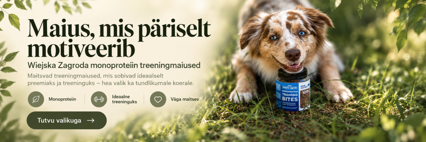 Avaleht | Sniffy - Parima sõbra heaks Avaleht | Sniffy - Parima sõbra heaks