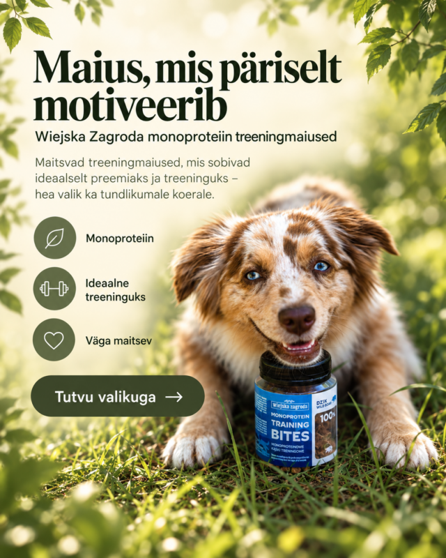 Avaleht | Sniffy - Parima sõbra heaks Avaleht | Sniffy - Parima sõbra heaks
